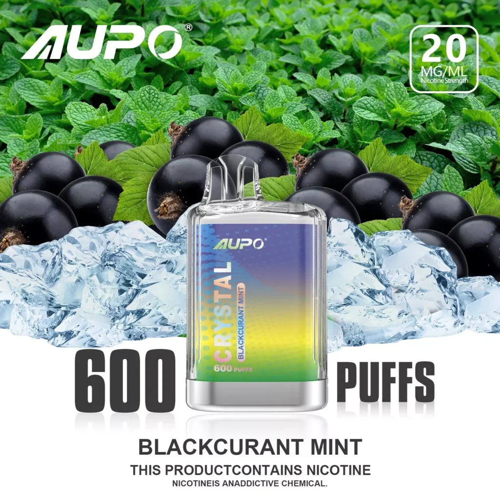 AUPO 600 Puffs G06 Einweg E-Zigarette 600 Züge