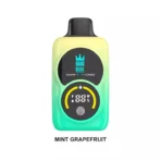 wie viele zigaretten sind eine vape 600 züge - Professional Guide and Review