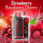 Vozol Vista 20000 Vape